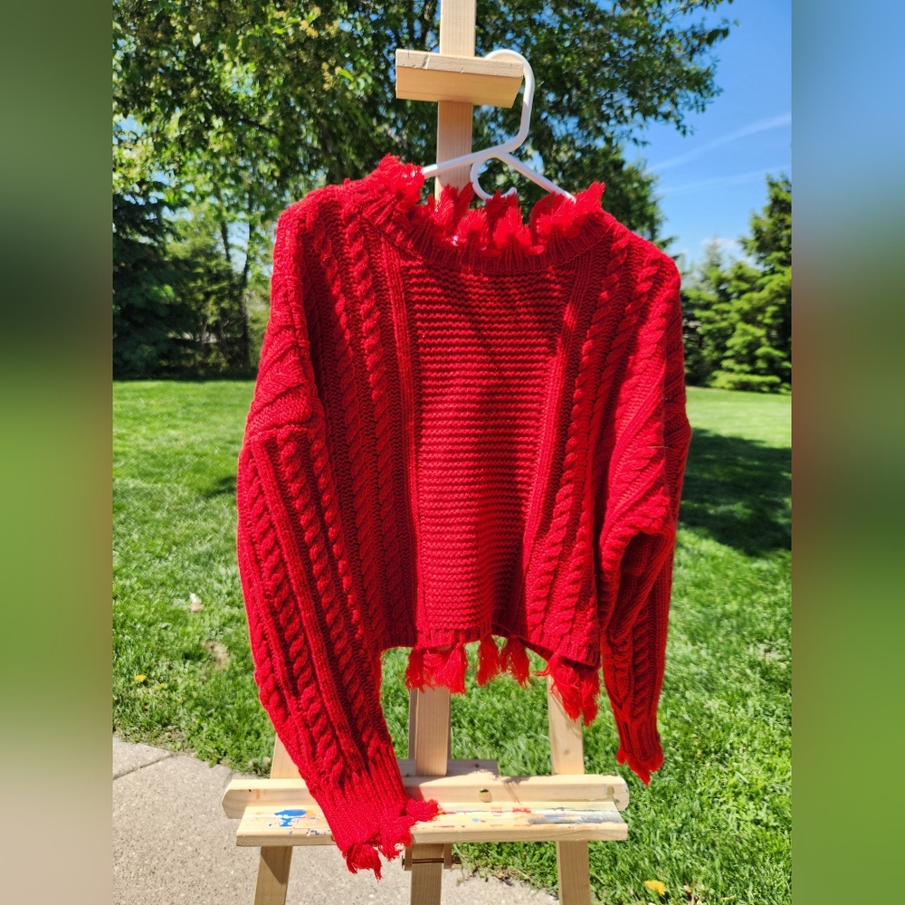 Shopthemint.com red sweater size small